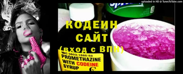 крисы Верхний Тагил