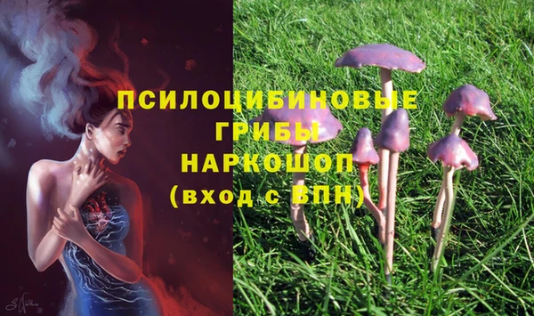марки lsd Бородино