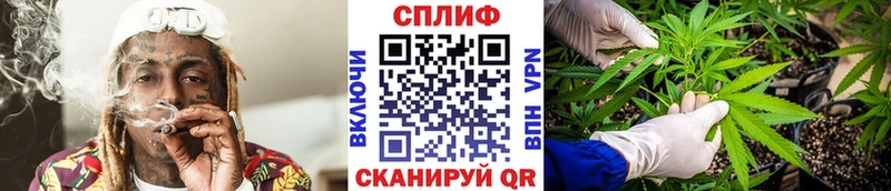 Марихуана планчик kraken ссылки Грозный закладки
